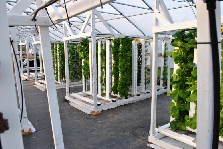 Maximizing Yield with Home Hydroponic Gardening: Best Practices